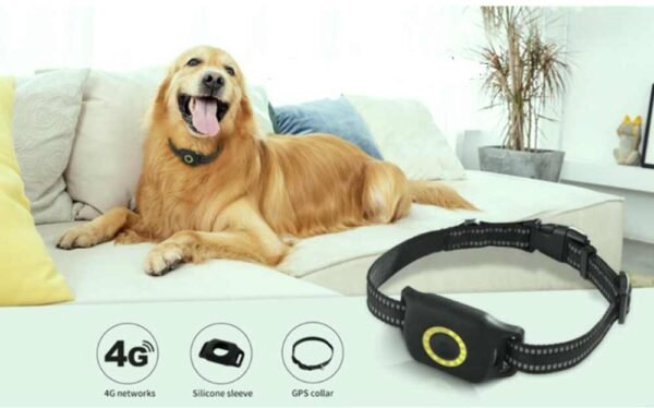 pet gps tracker nz