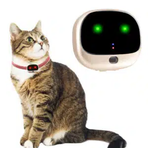 cat gps tracker nz, best cat gps tracker, cat gps tracker