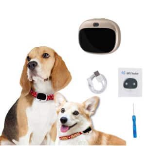 Dogs with Pet Tracker