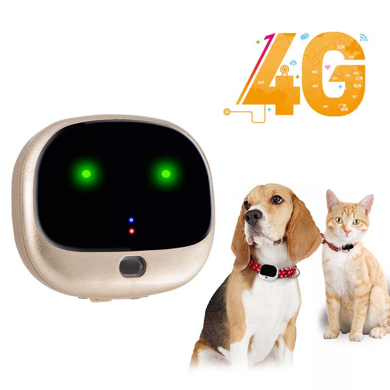 cats and dogs gps tracker